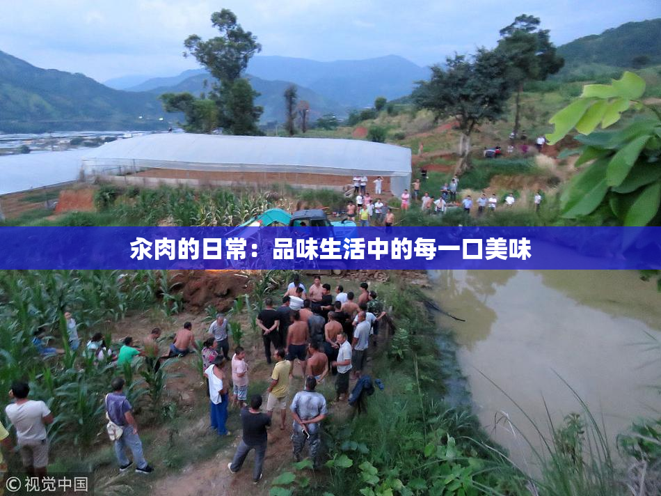 汆肉的日常：品味生活中的每一口美味