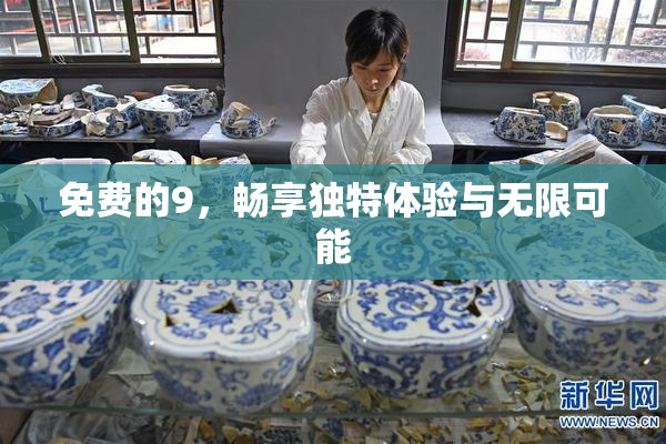 免费的9，畅享独特体验与无限可能