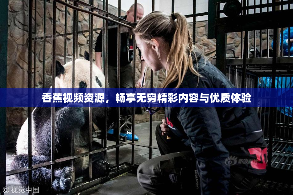 香蕉视频资源，畅享无穷精彩内容与优质体验