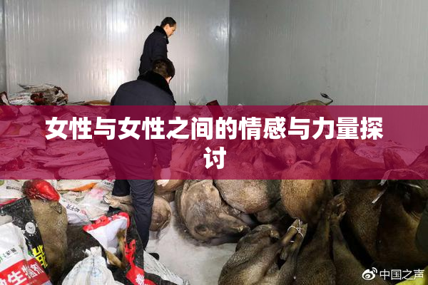 女性与女性之间的情感与力量探讨