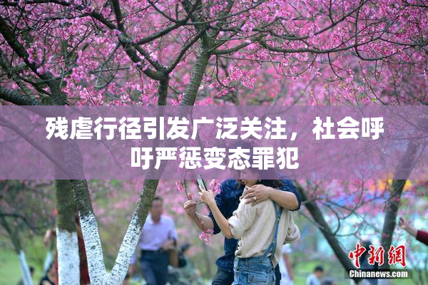残虐行径引发广泛关注，社会呼吁严惩变态罪犯