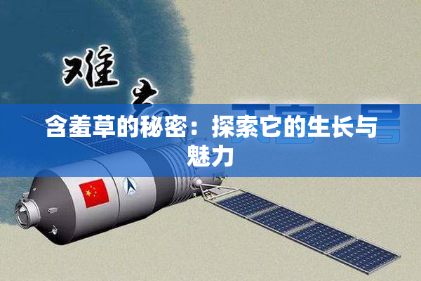 含羞草的秘密：探索它的生长与魅力