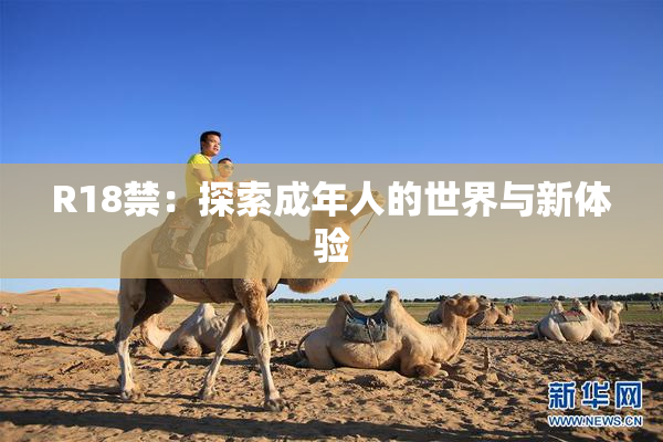 R18禁：探索成年人的世界与新体验