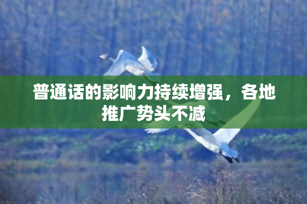 普通话的影响力持续增强，各地推广势头不减