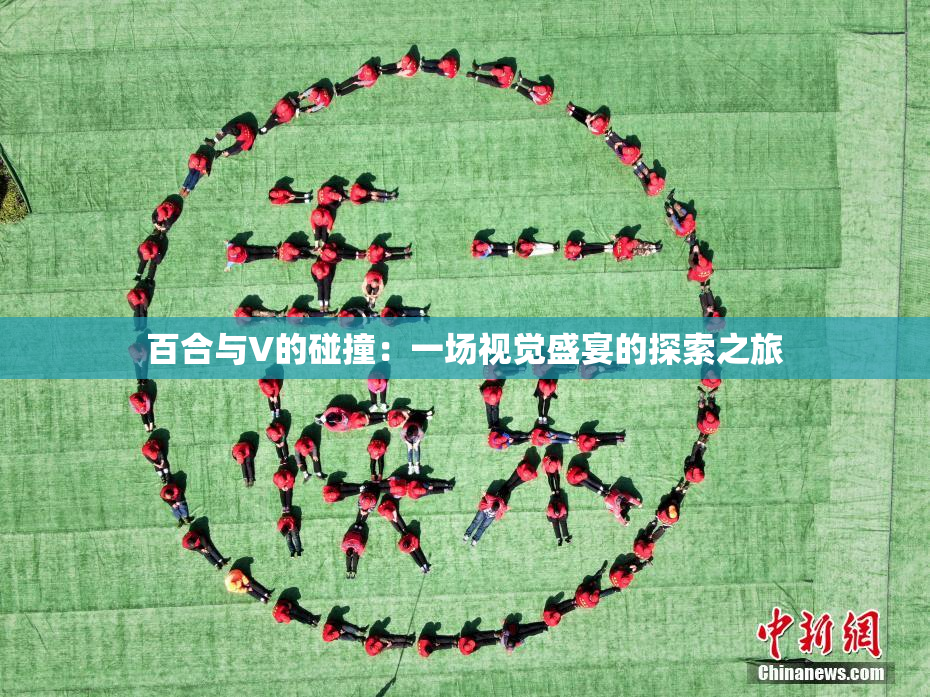 百合与V的碰撞：一场视觉盛宴的探索之旅