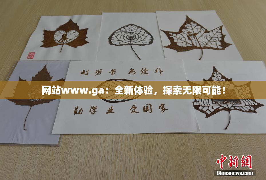 网站www.ga：全新体验，探索无限可能！