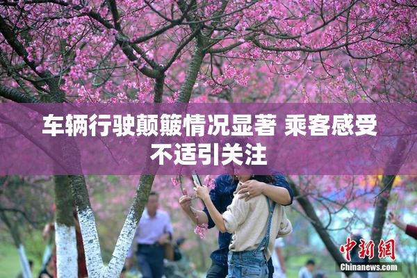 车辆行驶颠簸情况显著 乘客感受不适引关注