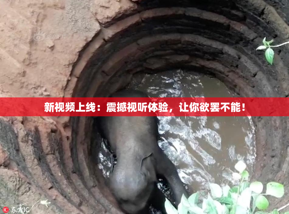 新视频上线：震撼视听体验，让你欲罢不能！