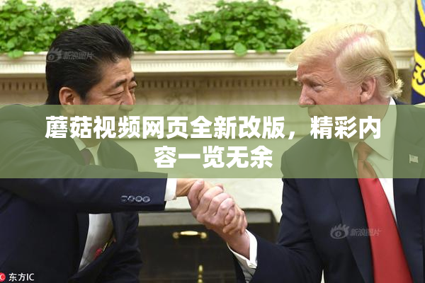 蘑菇视频网页全新改版，精彩内容一览无余