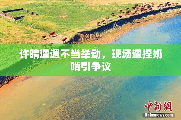 许晴遭遇不当举动，现场遭捏奶啃引争议