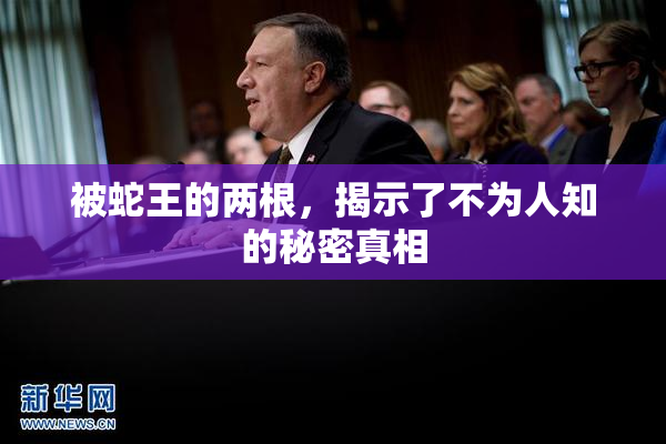 被蛇王的两根，揭示了不为人知的秘密真相