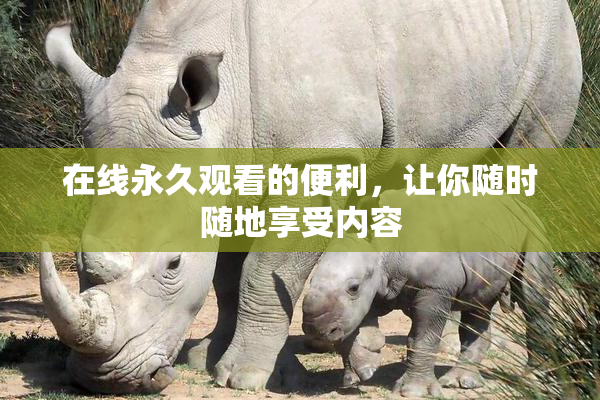 在线永久观看的便利，让你随时随地享受内容