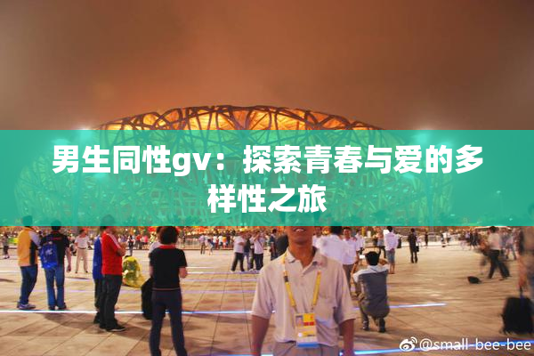 男生同性gv：探索青春与爱的多样性之旅