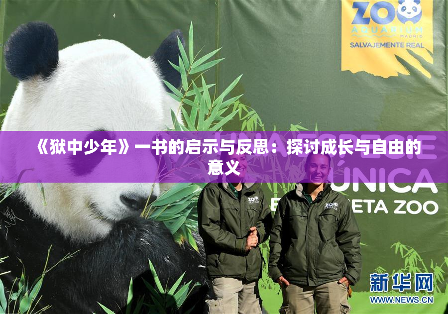 《狱中少年》一书的启示与反思：探讨成长与自由的意义