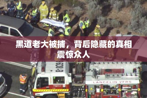 黑道老大被捕，背后隐藏的真相震惊众人
