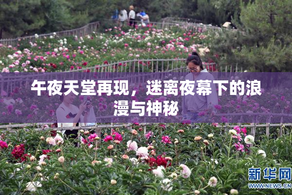 午夜天堂再现，迷离夜幕下的浪漫与神秘