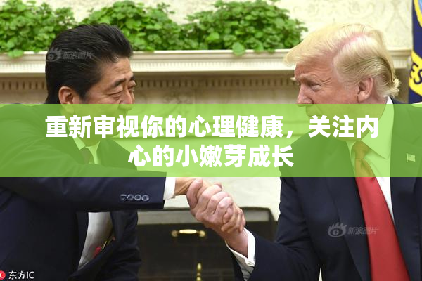 重新审视你的心理健康，关注内心的小嫩芽成长