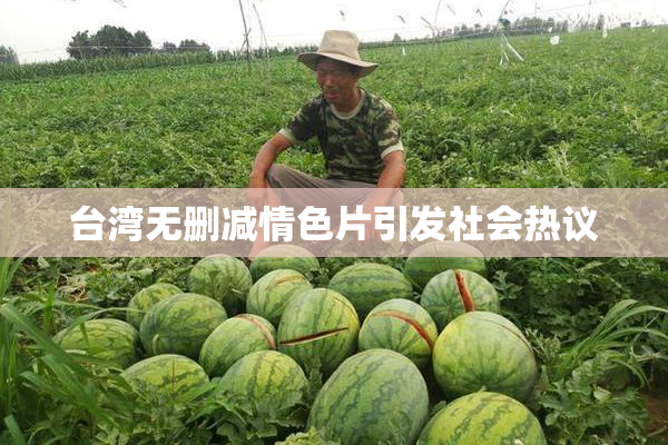 台湾无删减情色片引发社会热议