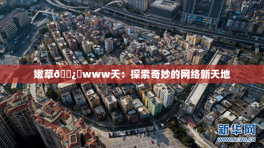 嫩草🌿‌www天：探索奇妙的网络新天地