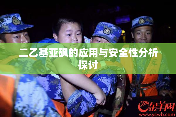二乙基亚砜的应用与安全性分析探讨