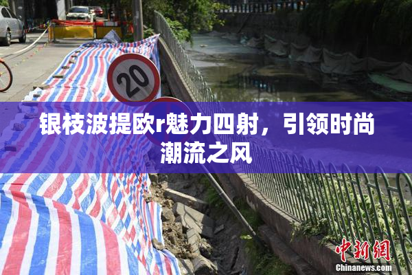 银枝波提欧r魅力四射，引领时尚潮流之风
