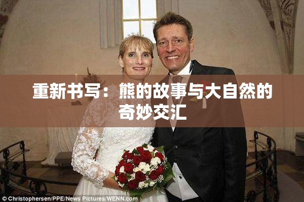 重新书写：熊的故事与大自然的奇妙交汇