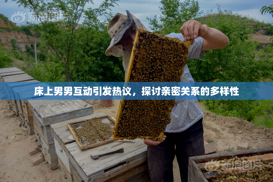 床上男男互动引发热议，探讨亲密关系的多样性
