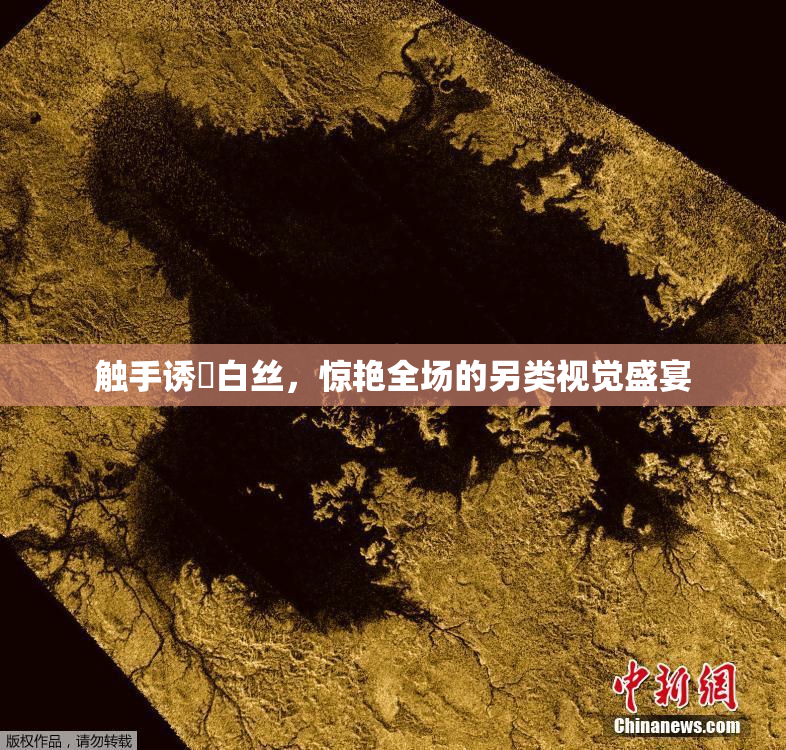 触手诱奷白丝，惊艳全场的另类视觉盛宴