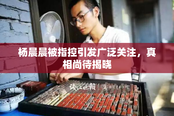 杨晨晨被指控引发广泛关注，真相尚待揭晓