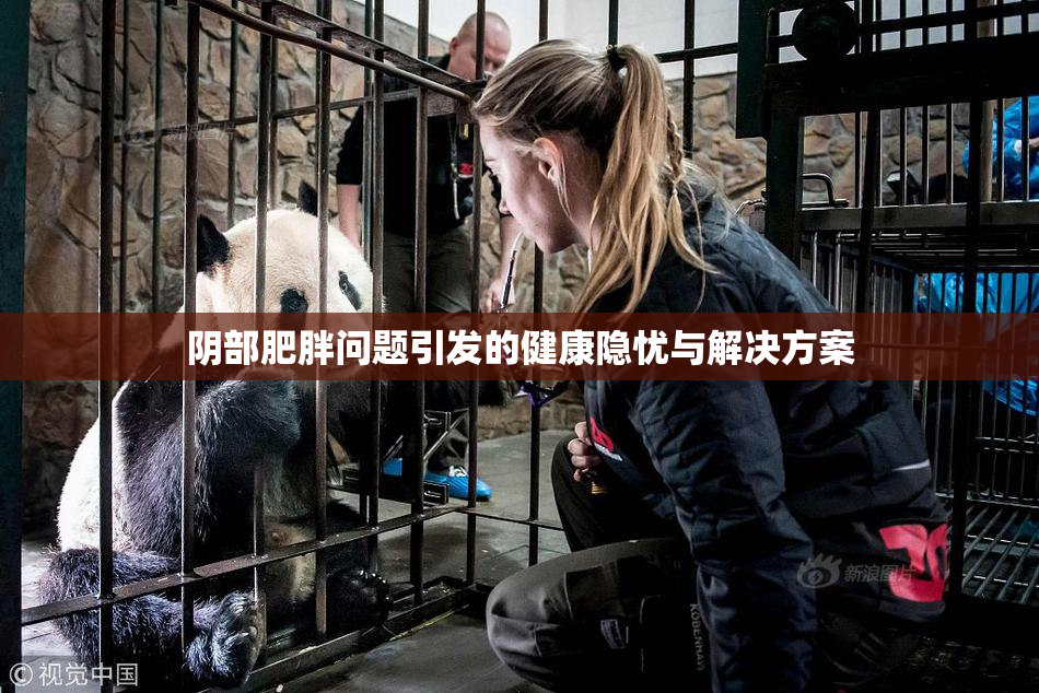 阴部肥胖问题引发的健康隐忧与解决方案