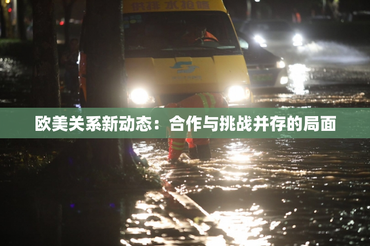 欧美关系新动态：合作与挑战并存的局面
