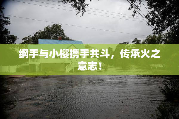 纲手与小樱携手共斗，传承火之意志！