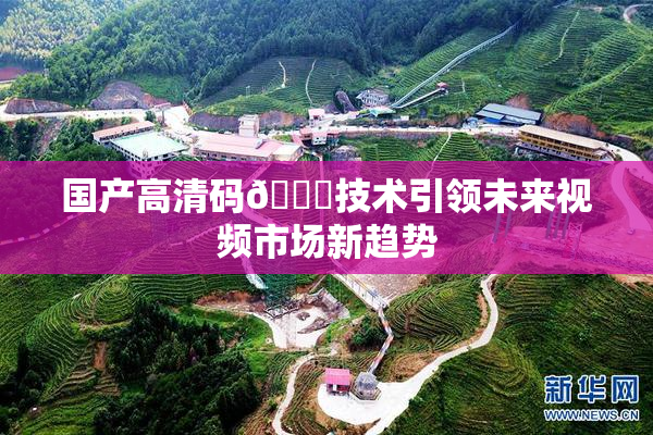 国产高清码🔞技术引领未来视频市场新趋势