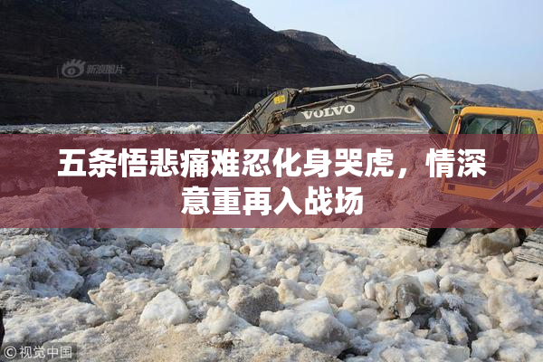 五条悟悲痛难忍化身哭虎，情深意重再入战场