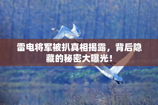 雷电将军被扒真相揭露，背后隐藏的秘密大曝光！