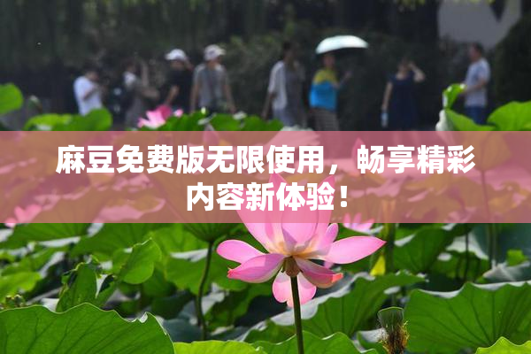 麻豆免费版无限使用，畅享精彩内容新体验！