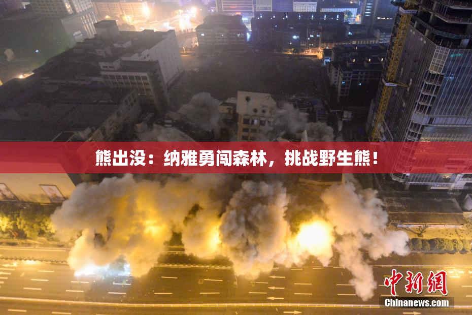 熊出没：纳雅勇闯森林，挑战野生熊！