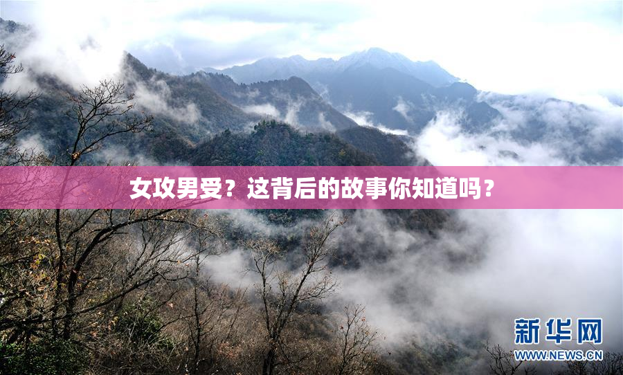 女攻男受？这背后的故事你知道吗？