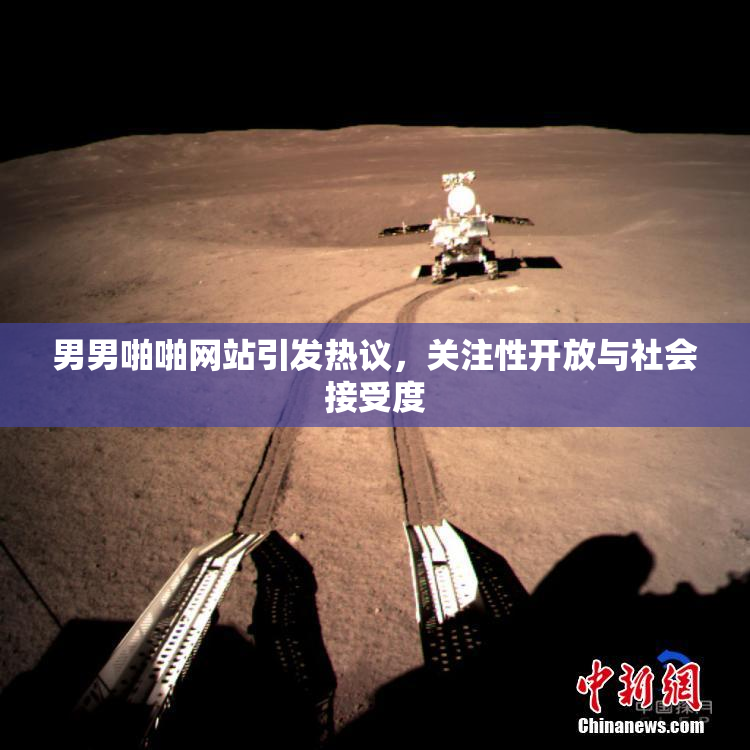 男男啪啪网站引发热议，关注性开放与社会接受度
