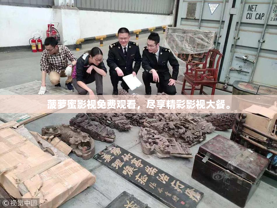 菠萝蜜影视免费观看，尽享精彩影视大餐。