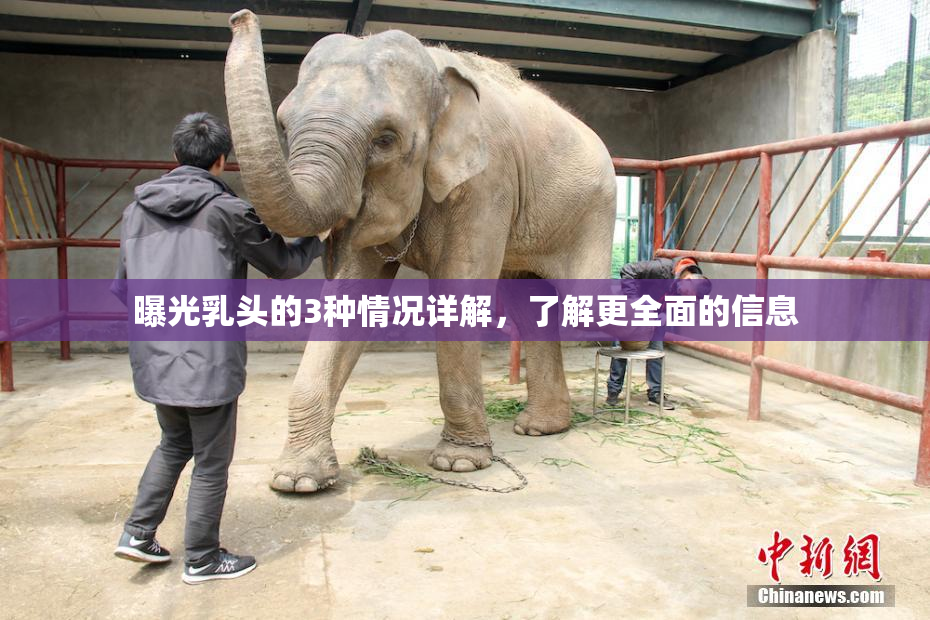 曝光乳头的3种情况详解，了解更全面的信息