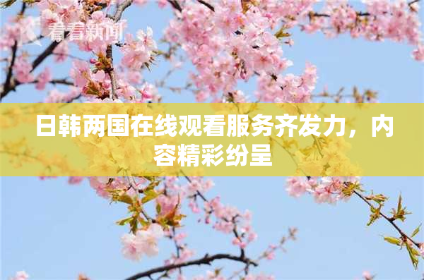 日韩两国在线观看服务齐发力，内容精彩纷呈