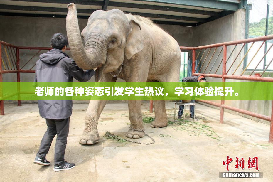 老师的各种姿态引发学生热议，学习体验提升。