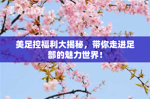 美足控福利大揭秘，带你走进足部的魅力世界！