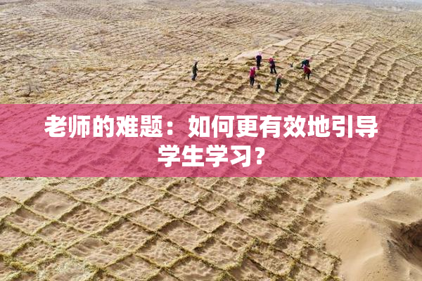 老师的难题：如何更有效地引导学生学习？
