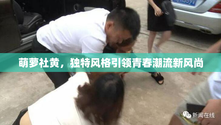 萌萝社黄，独特风格引领青春潮流新风尚
