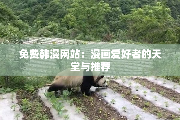 免费韩漫网站：漫画爱好者的天堂与推荐