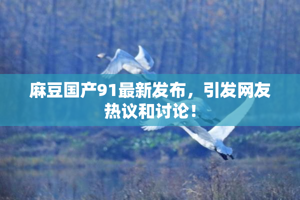 麻豆国产91最新发布，引发网友热议和讨论！