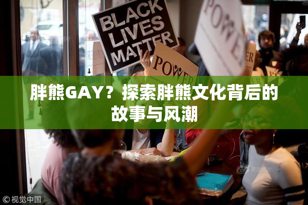 胖熊GAY？探索胖熊文化背后的故事与风潮