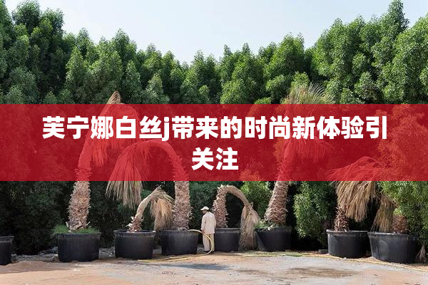 芙宁娜白丝j带来的时尚新体验引关注